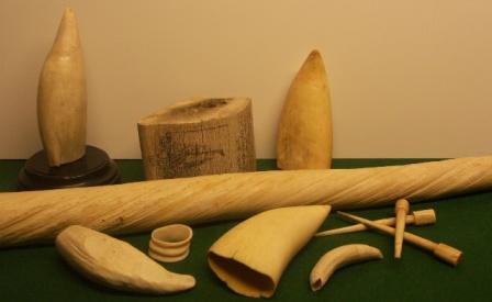 Whale Ivory