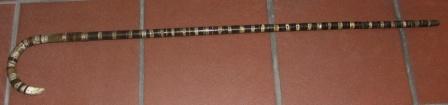 19th century sailor-made walking stick. Made of shark- and flexible baleen bone.